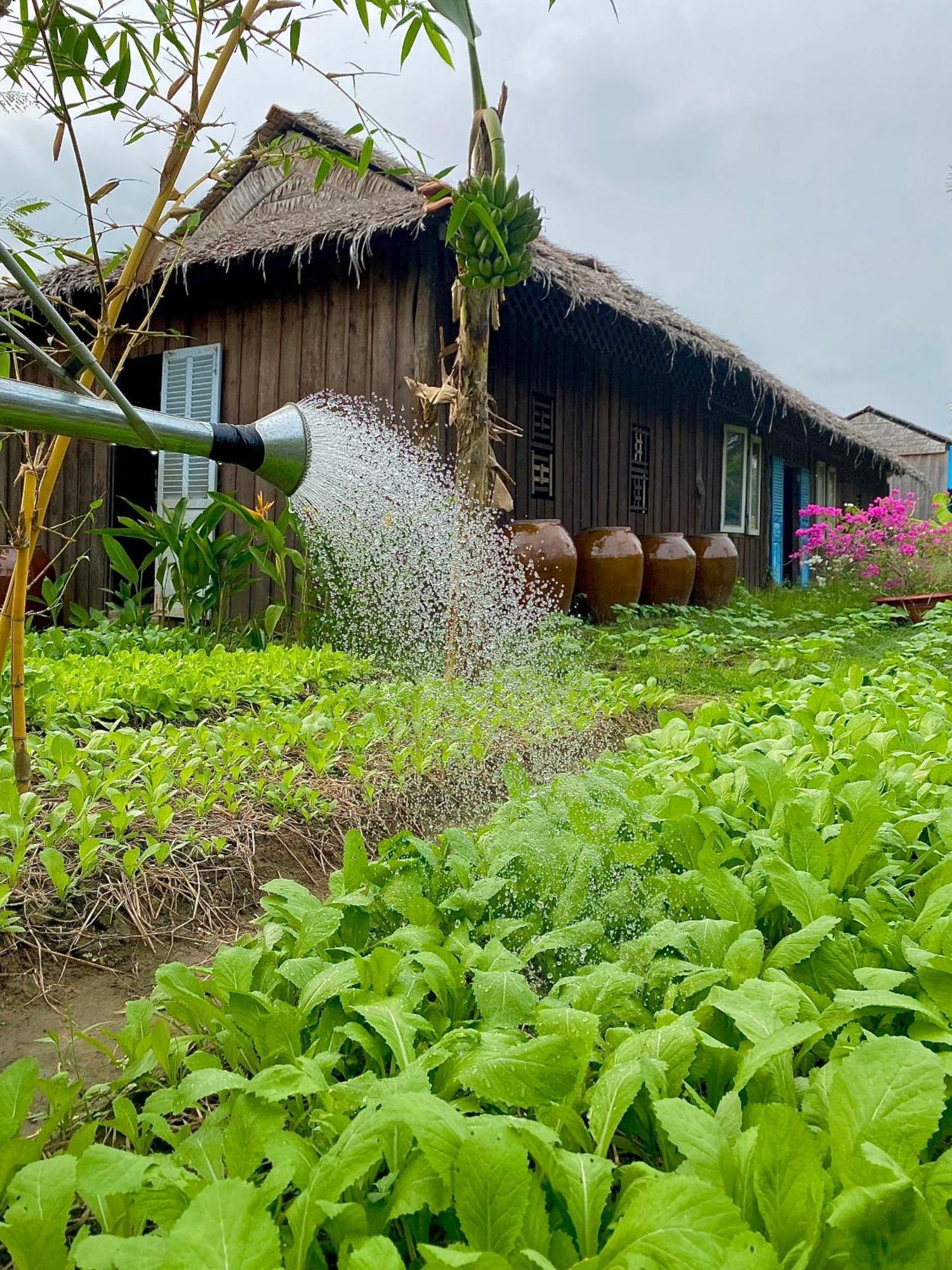 Mekong Silt Ecolodge Cần Thơ Extérieur photo