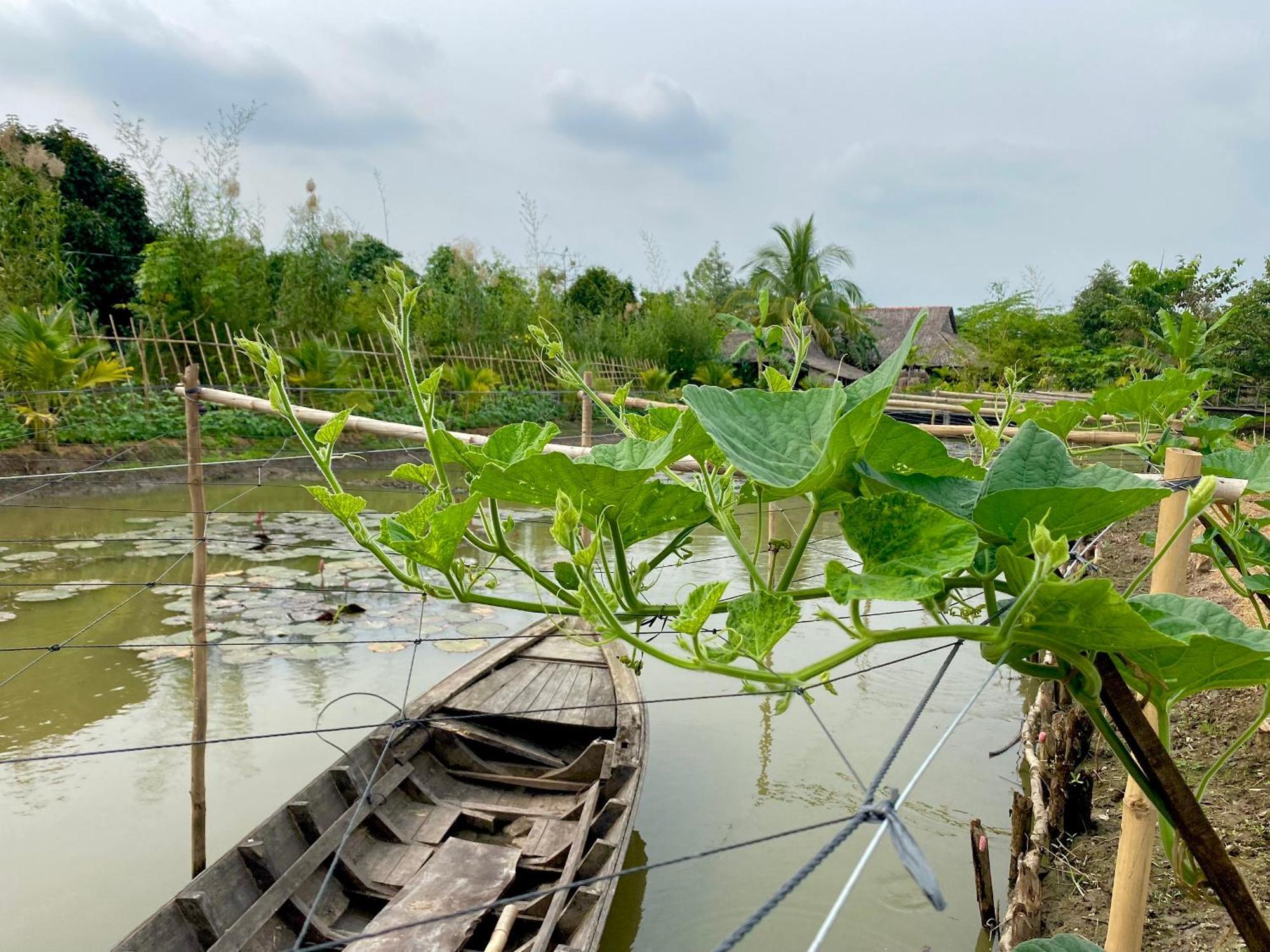 Mekong Silt Ecolodge Cần Thơ Extérieur photo