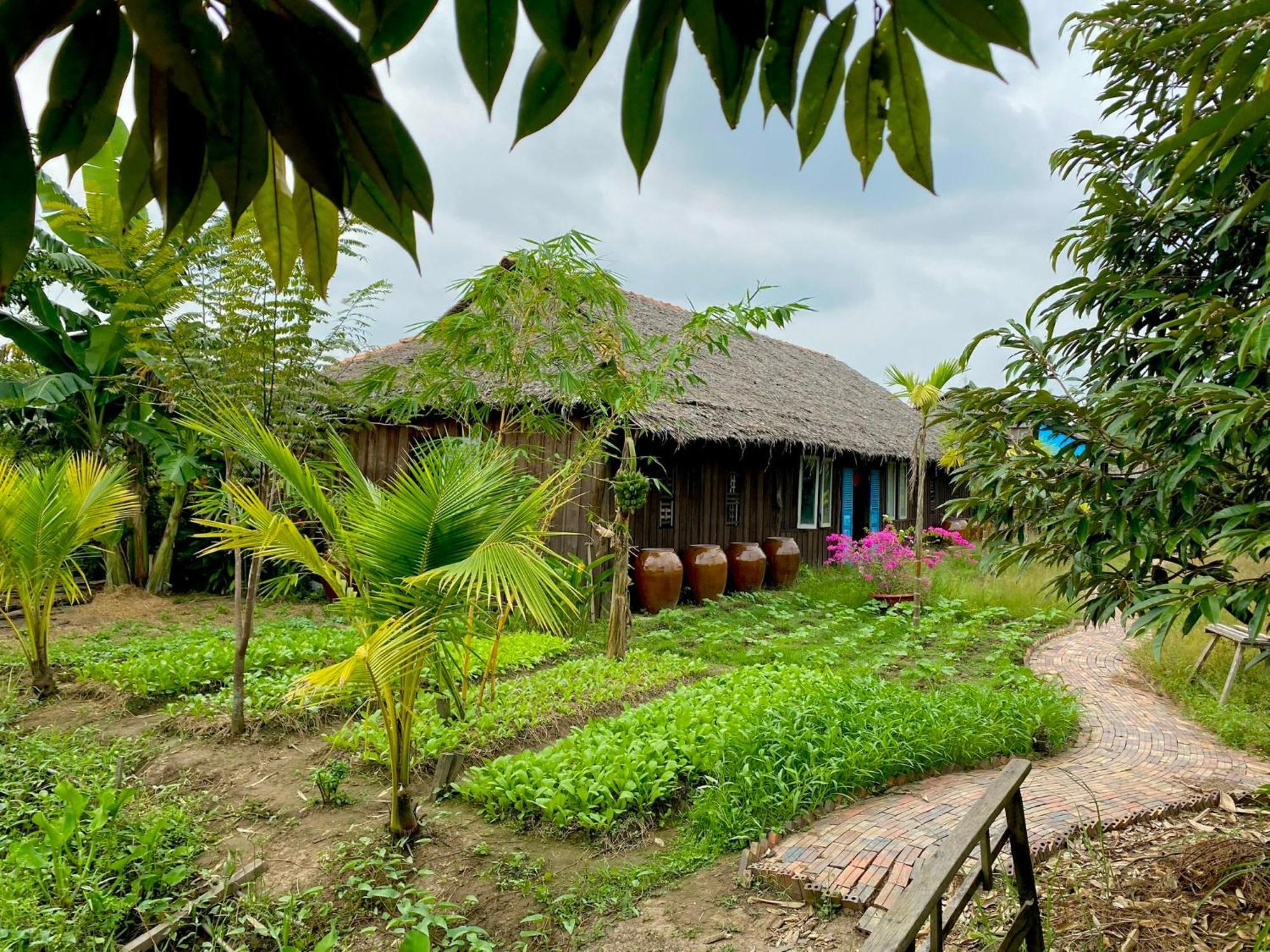 Mekong Silt Ecolodge Cần Thơ Extérieur photo